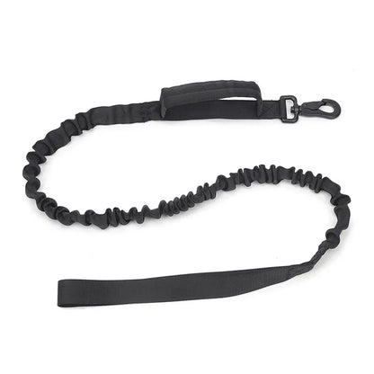 Ensemble collier et laisse chien tactique MAUREL™ | militaire