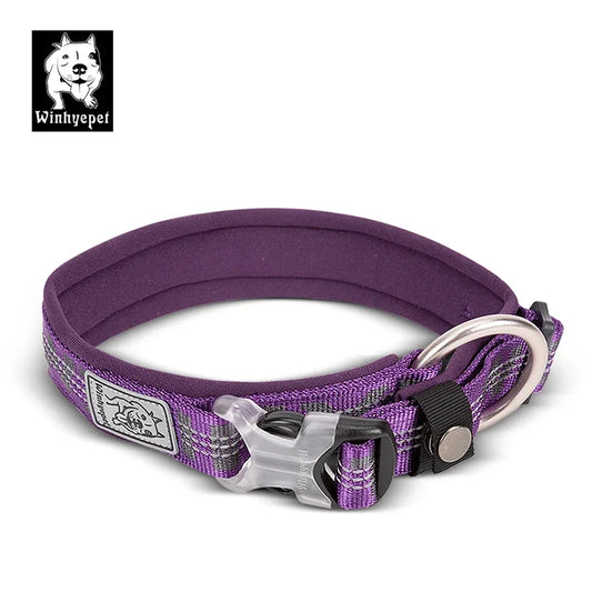 Collier chien WINHYE™ | nylon anti traction
