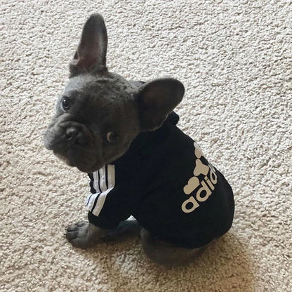 Hoodie pour chien ADDIDOG™ | pull chandail