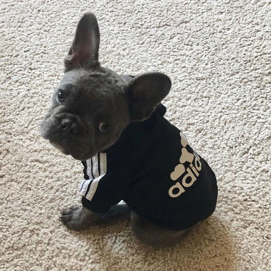 Hoodie pour chien ADDIDOG™ | pull chandail