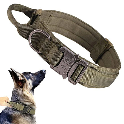 Ensemble collier et laisse chien tactique MAUREL™ | militaire