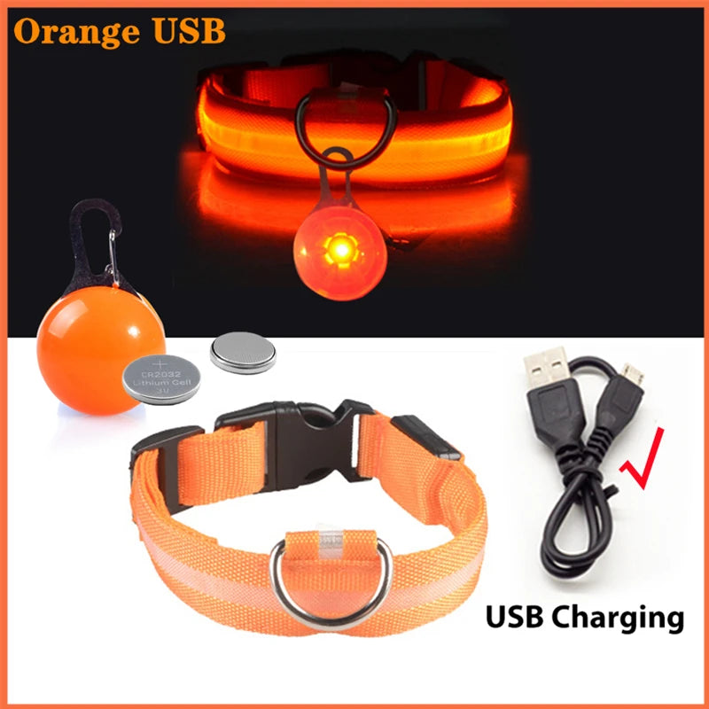 Collier lumineux pour chien LORIS™