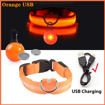 Collier lumineux pour chien LORIS™