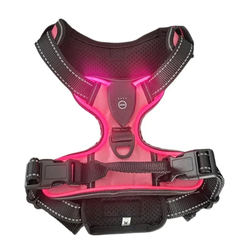 Harnais chien BENETOS™ | nylon LED