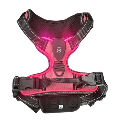 Harnais chien BENETOS™ | nylon LED