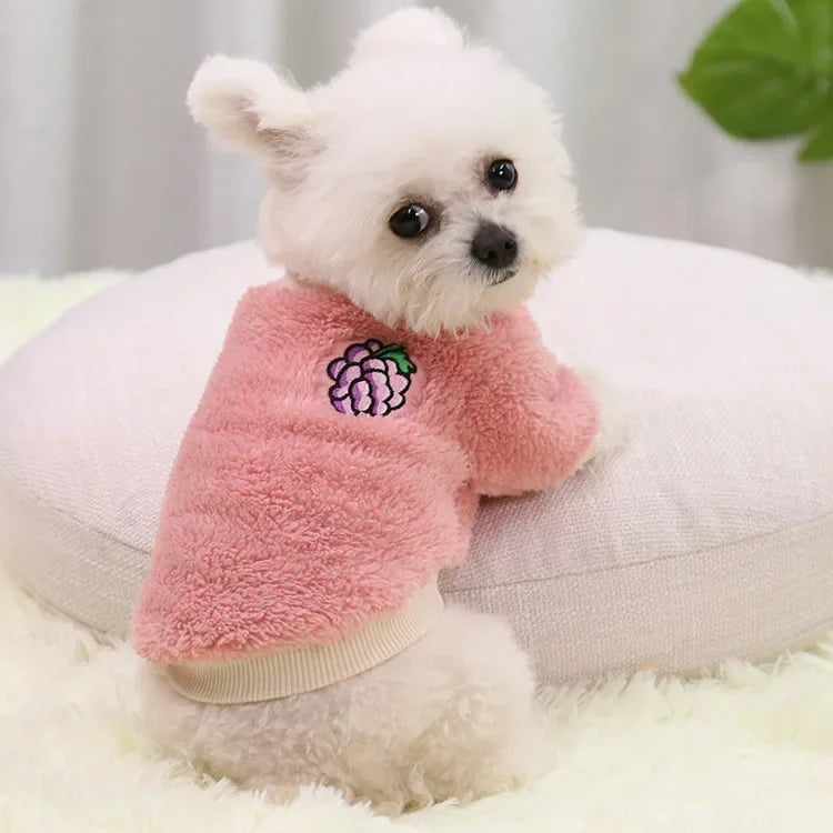 Chandail  pour chien DOGGYF™ | sweat à capuche