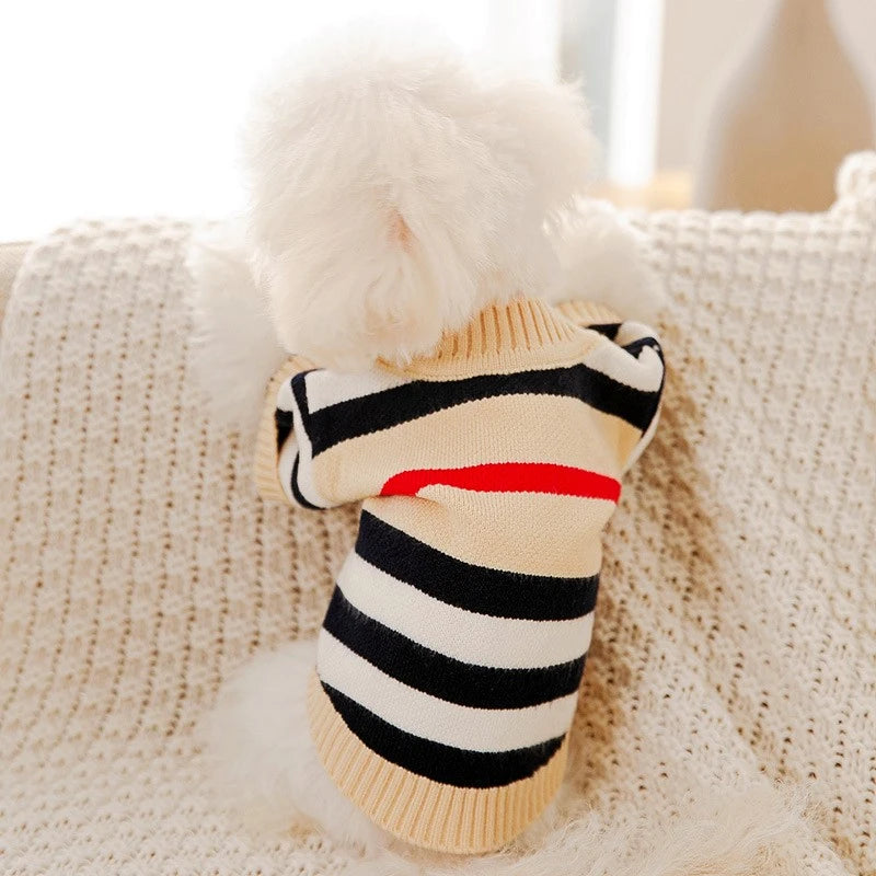 Chandail pour chien TEO™ | veste pull