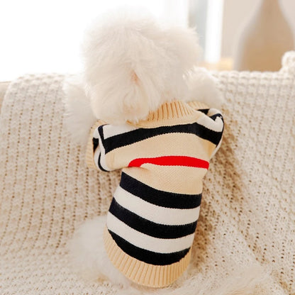 Chandail pour chien TEO™ | veste pull