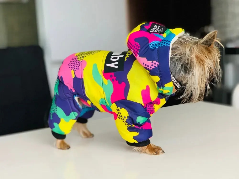 Manteau chien JISOSO™ | doudoune d'hiver