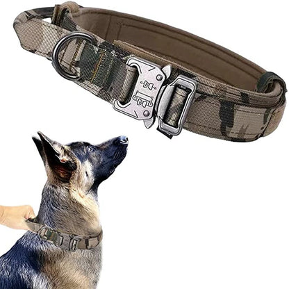 Ensemble collier et laisse chien tactique MAUREL™ | militaire