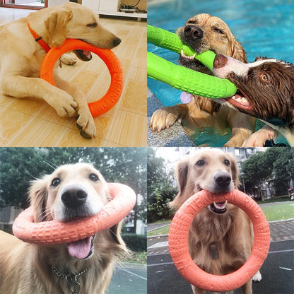 Disque volant pour chien CORGI™ | jouet caoutchouc