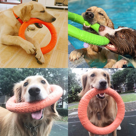 Disque volant pour chien CORGI™ | jouet caoutchouc