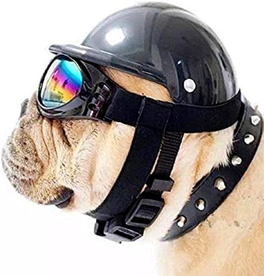 Casque lunettes de protection chien GUERRAM™