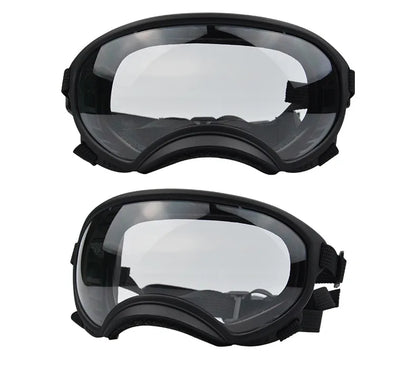 Lunettes protection chien DOGGYF™