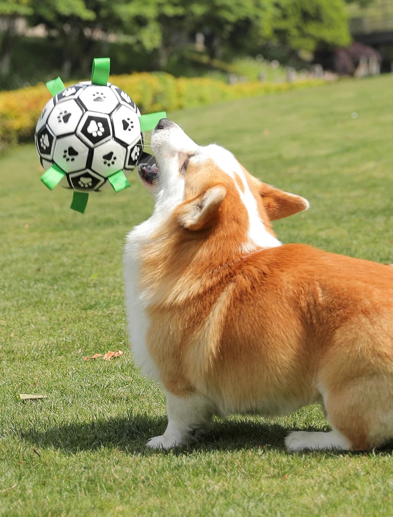 Jouet pour chien MORTY™ | ballon football interactif