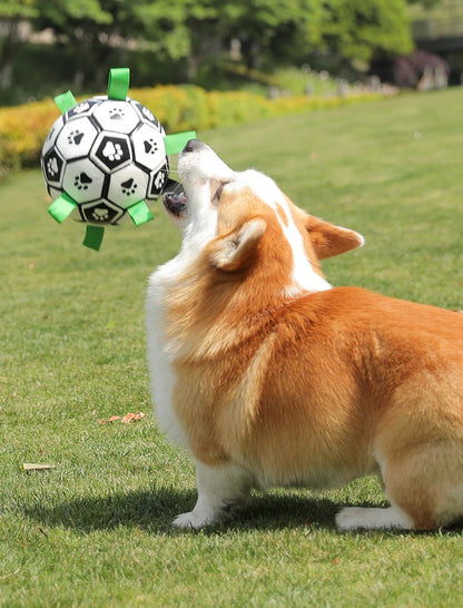 Jouet pour chien MORTY™ | ballon football interactif