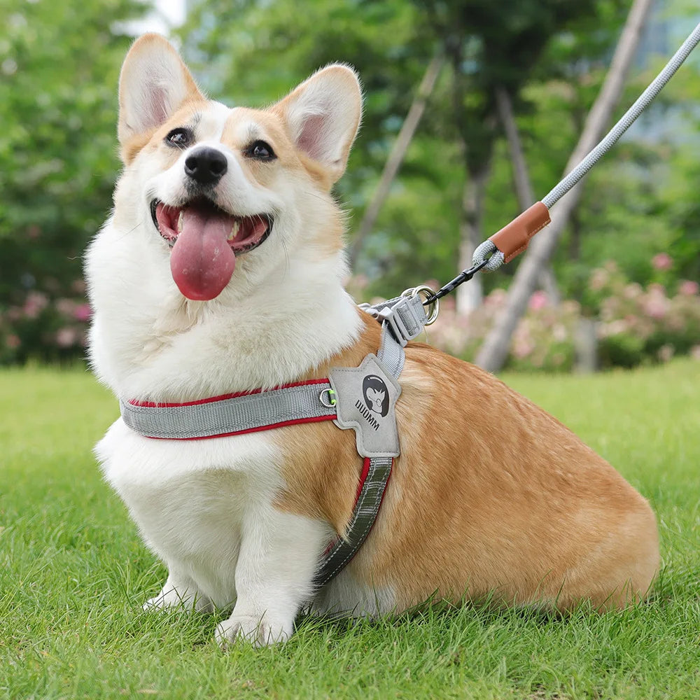 Harnais d'entrainement chien DUUOMM™ | réglable réfléchissant