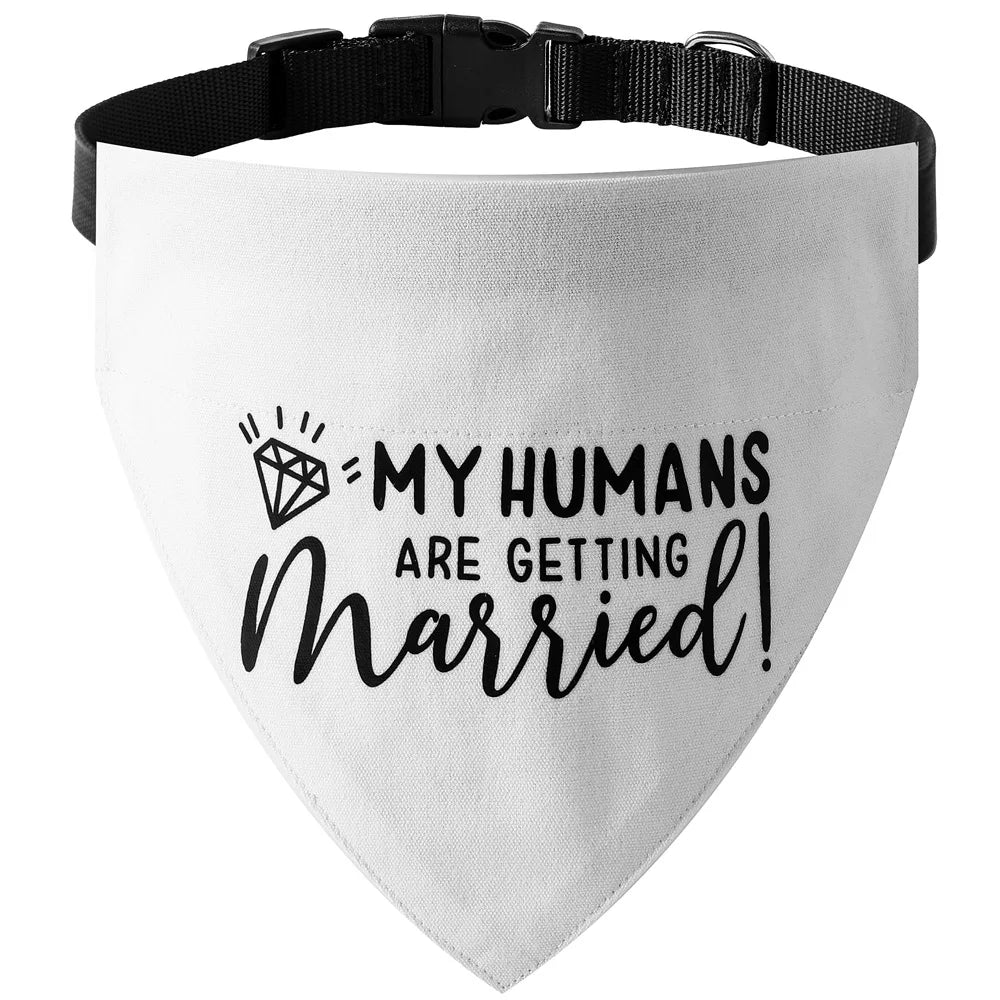 Bandana pour chien  LATELLA™ | foulard coton réglable