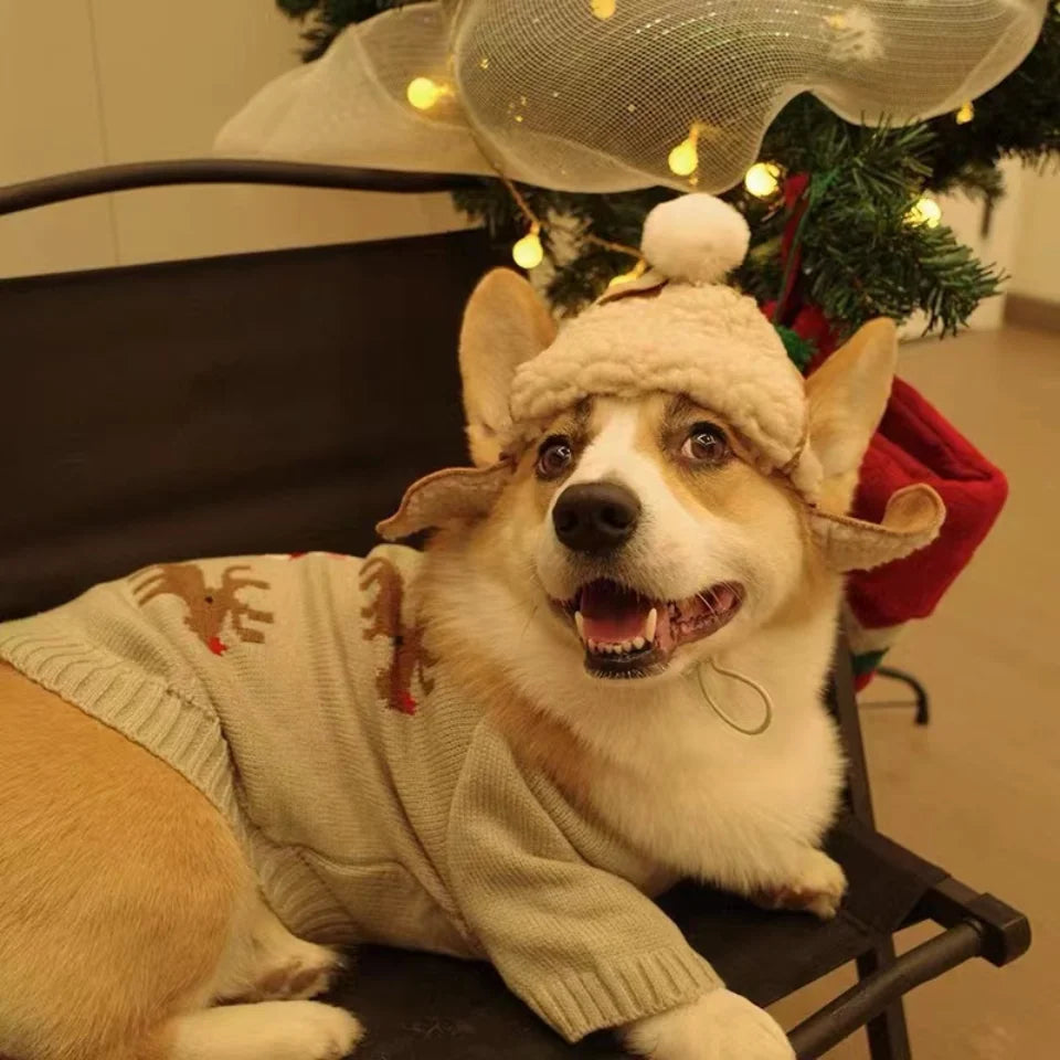 Chapeau pour chien PERLA™ | bonnet laine