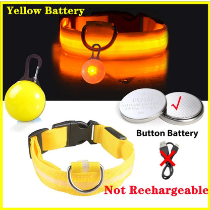 Collier lumineux pour chien LORIS™