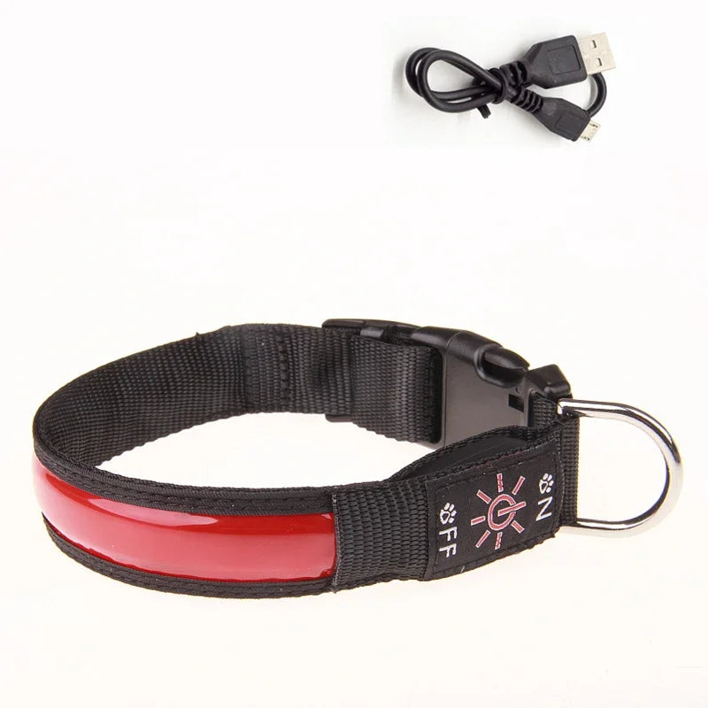 Collier lumineux pour chien LEEPOMAS™ | USB