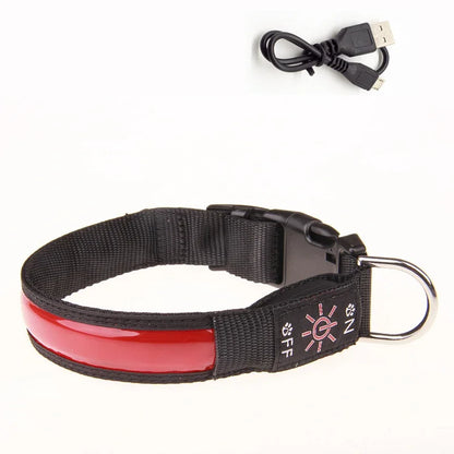 Collier lumineux pour chien LEEPOMAS™ | USB