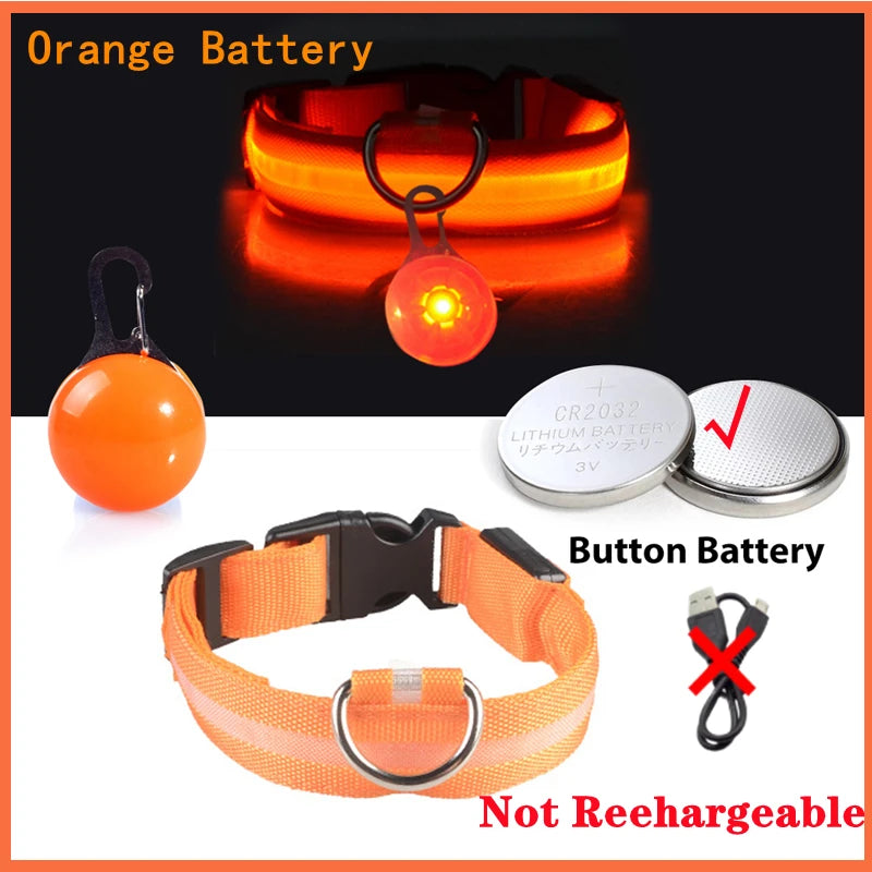 Collier lumineux pour chien LORIS™