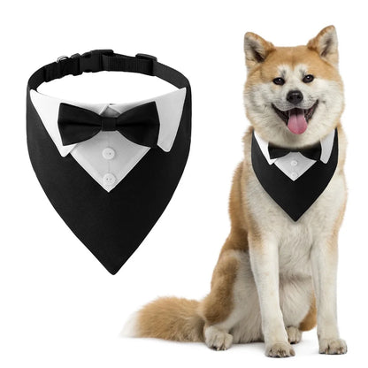 Foulard pour chien TORENTO™ | bandana noeud papillon réglable