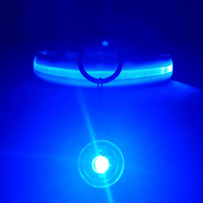 Collier lumineux pour chien LORIS™