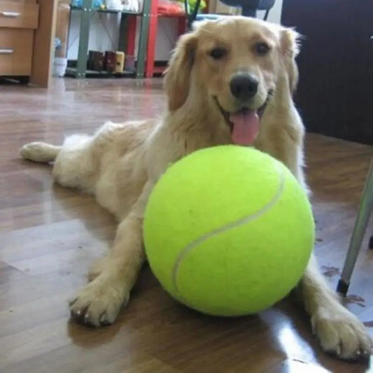 Balle géante pour chien OLABALL™