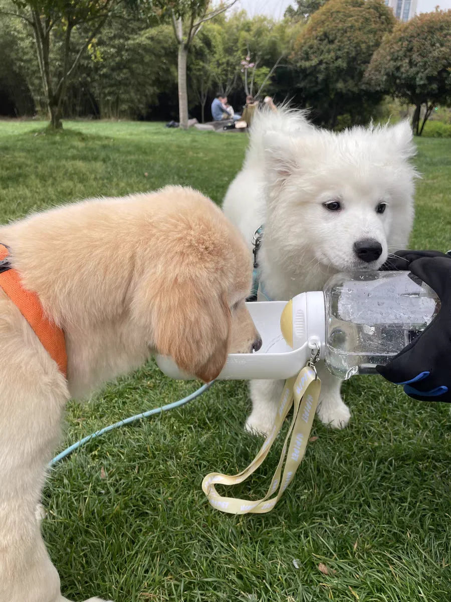 Gourde chien MUSHIPIPET