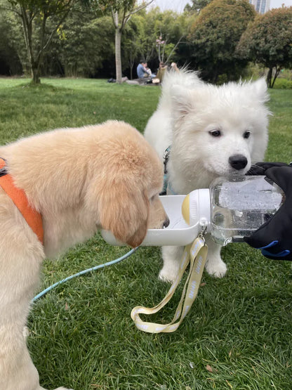 Gourde chien MUSHIPIPET