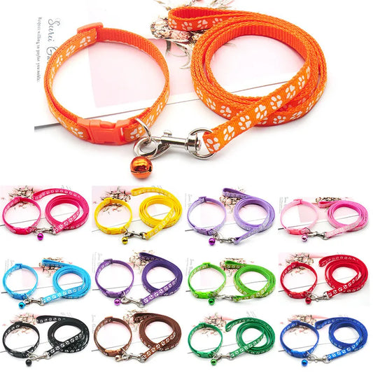 Ensemble Collier et laisse pour chien LUCKYPET™