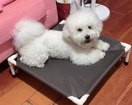 Lit pour chien RAFIKA™