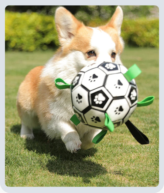 Jouet pour chien MORTY™ | ballon football interactif