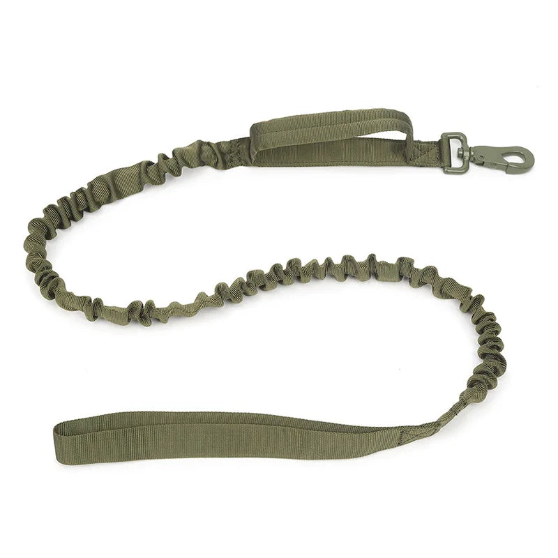 Ensemble collier et laisse chien tactique MAUREL™ | militaire