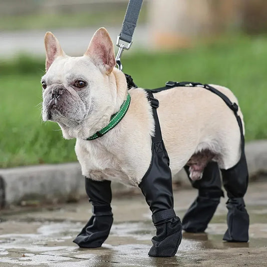 Bottes chien MATEE™ | ajustables imperméables