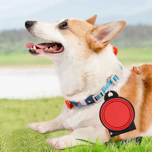 Gamelle pour chien FIFA™
