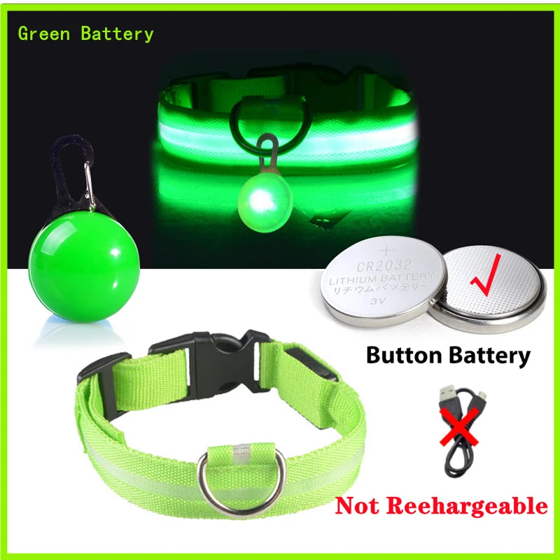 Collier lumineux pour chien LORIS™