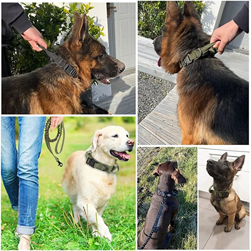 Ensemble collier et laisse chien tactique MAUREL™ | militaire