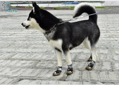 Bottines pour Chien | KAYYO™