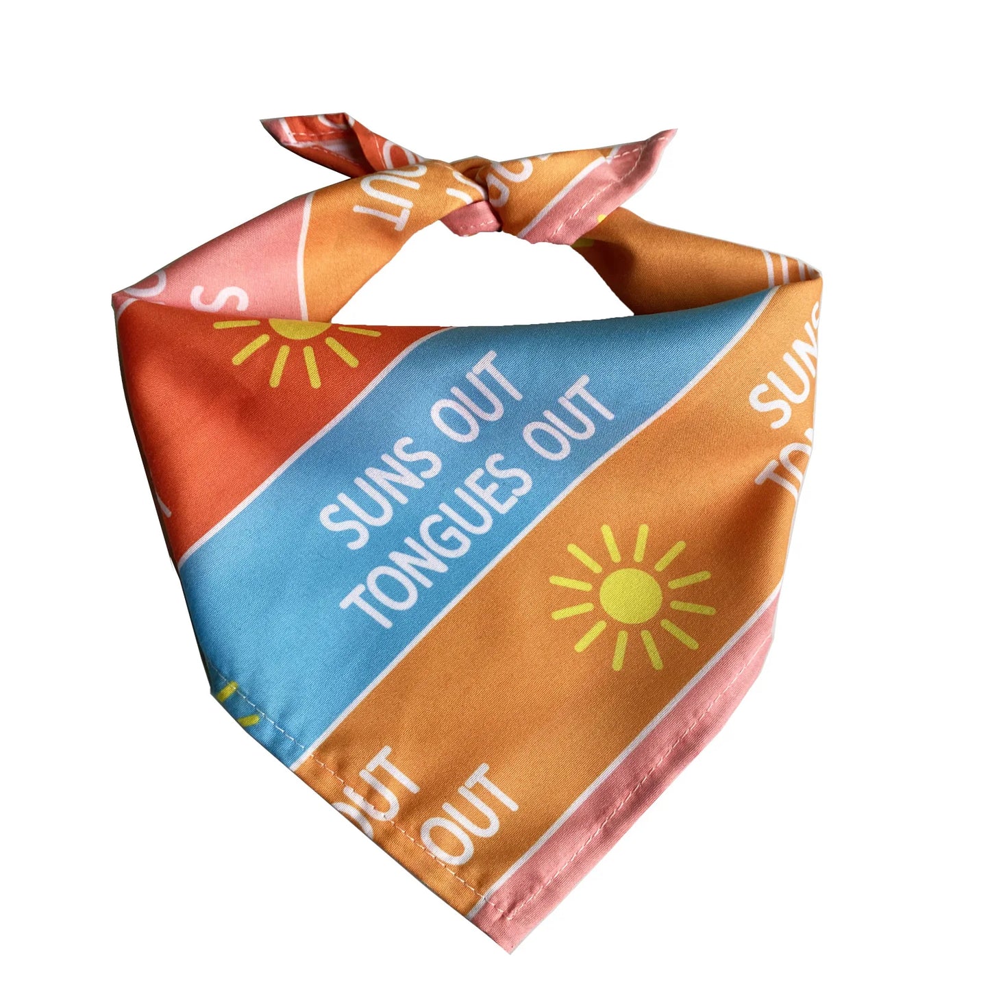 Foulard chien triangulaire PERROS™ | Bandana