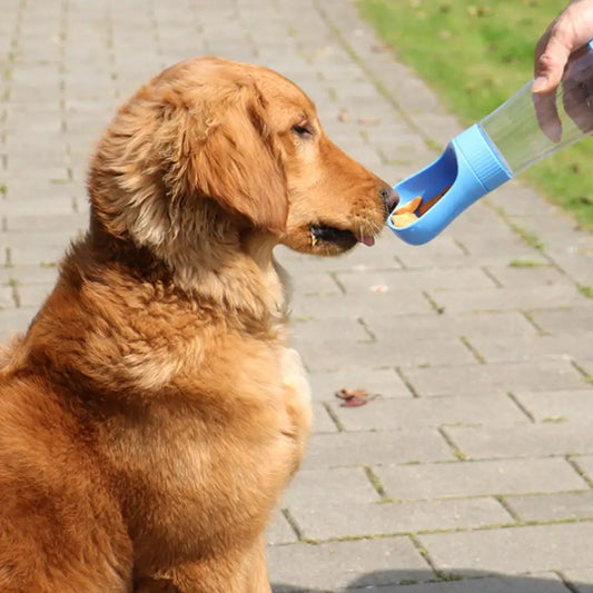 Gourde pour chien LAZOE™ | portable