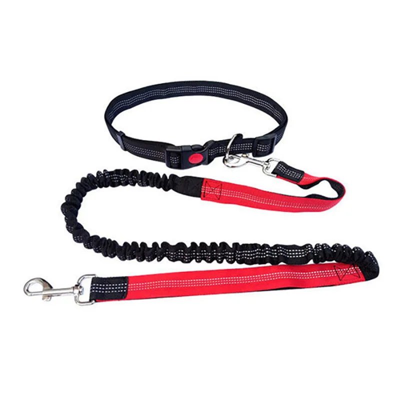 Laisse pour chien DUUOMM™ | mains libres