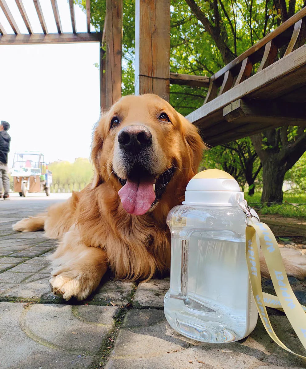 Gourde chien MUSHIPIPET