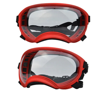 Lunettes protection chien DOGGYF™