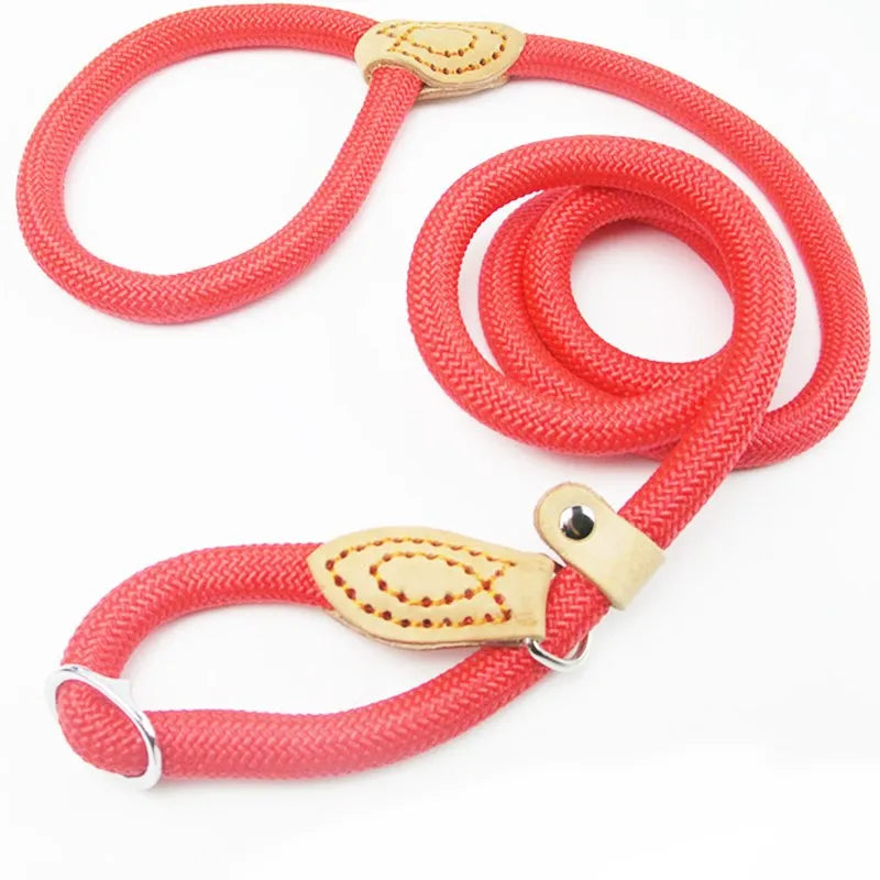Laisse chien ROSSI™ | corde coulissante tressée