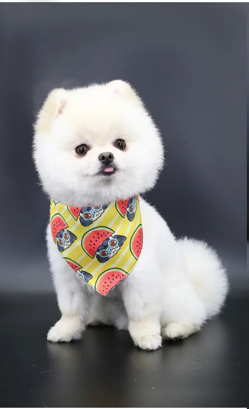 Bandana pour chien MORTY™ | foulard réglable