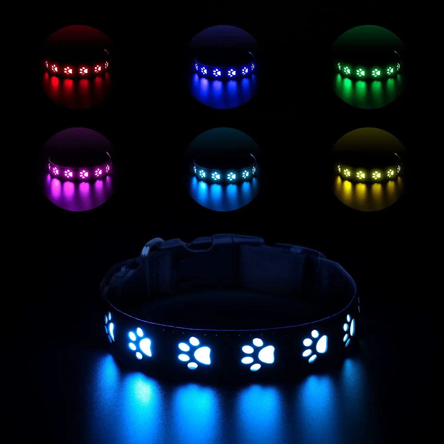 Collier lumineux pour chien MEGH™