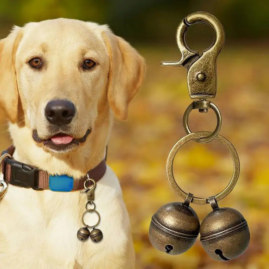 Clochettes pour chien RAMEN™ | grelots